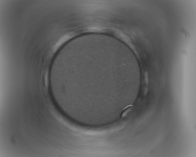 X0000114230011200910231513