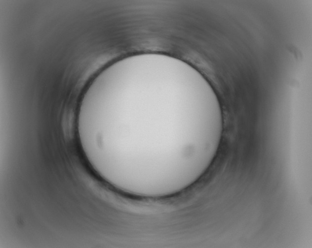 X0000114230012200910231513