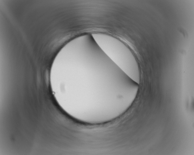 X0000114230013200910231513