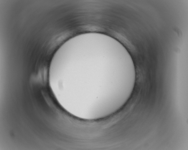 X0000114230014200910231513