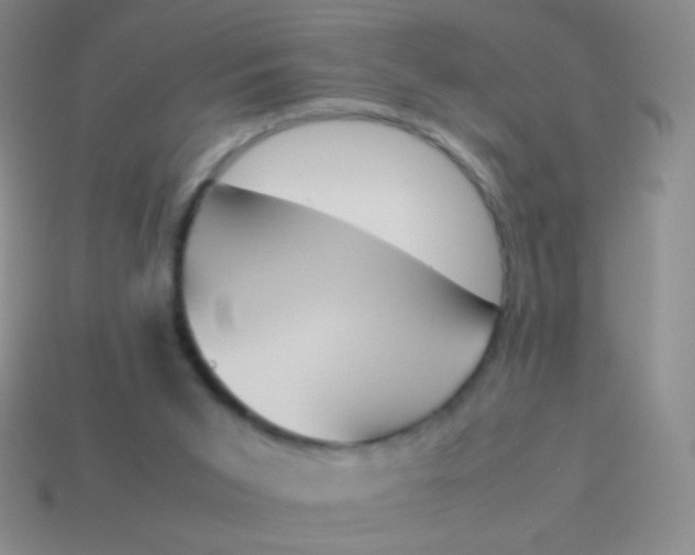 X0000114230015200910231513
