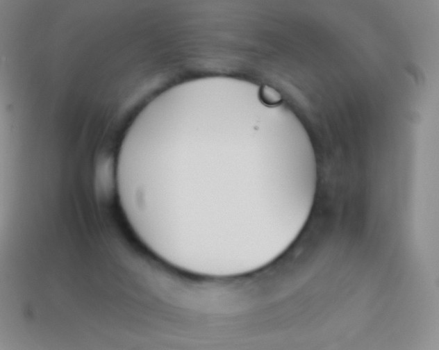X0000114230020200910231513