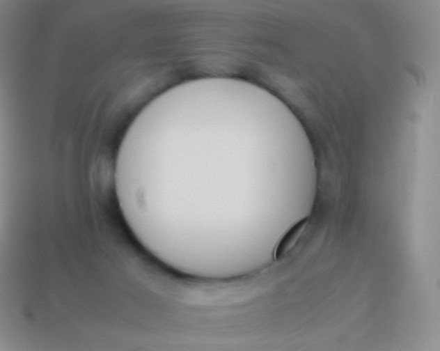 X0000114230021200910231513