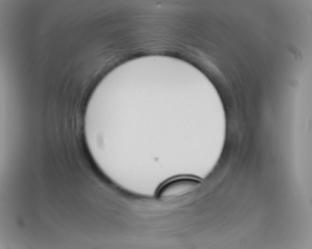X0000114230025200910231513