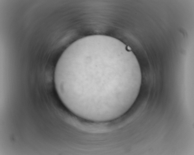 X0000114230032200910231513