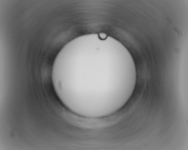 X0000114230034200910231513