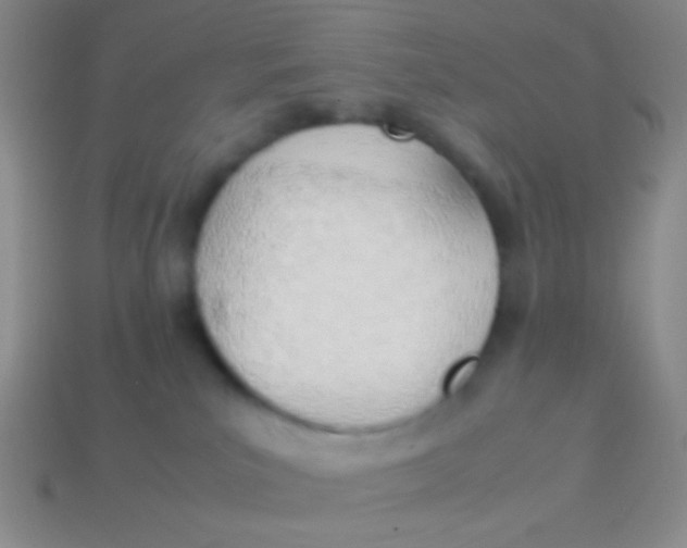 X0000114230039200910231513