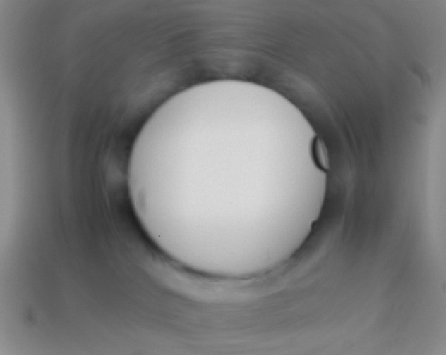 X0000114230040200910231513