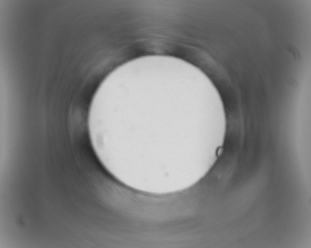X0000114230043200910231513