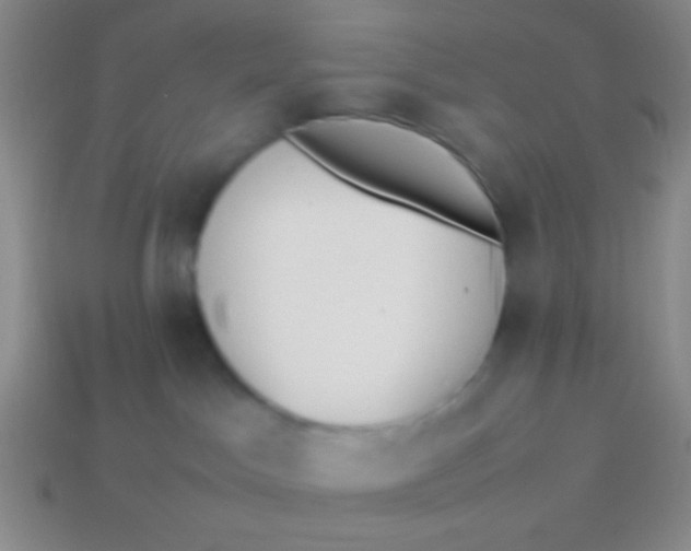 X0000114230045200910231513