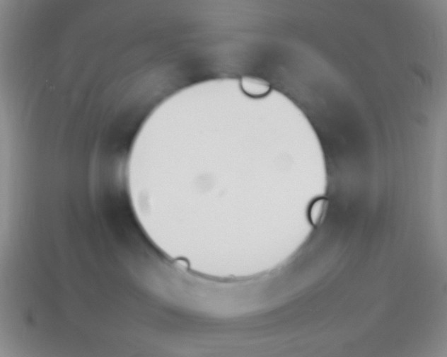 X0000114230047200910231513