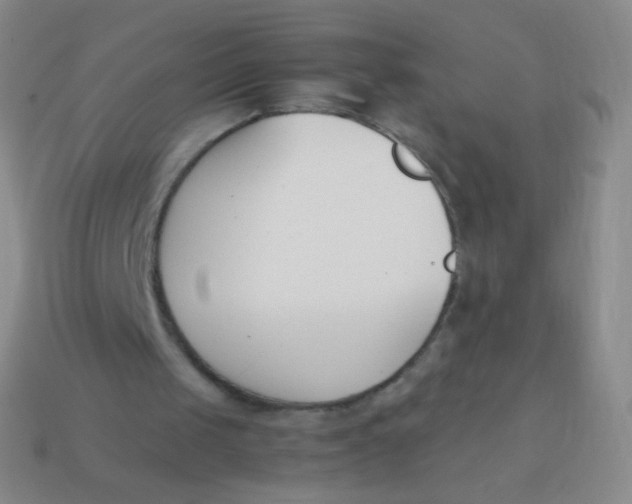 X0000114230049200910231512
