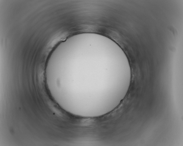 X0000114230050200910231512