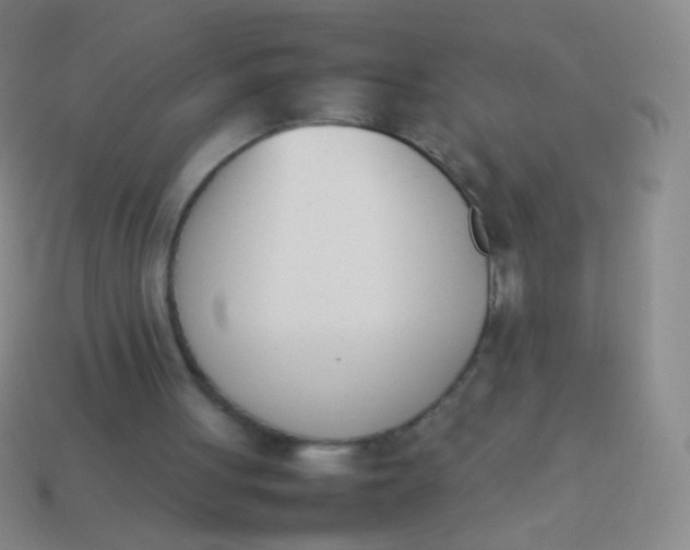 X0000114230051200910231512