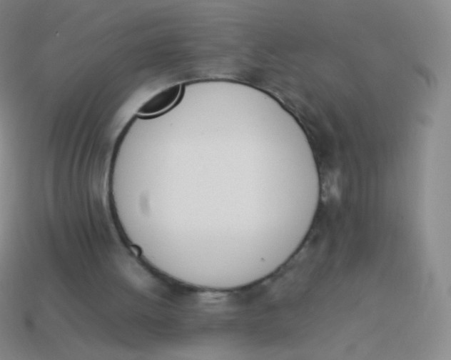 X0000114230052200910231512