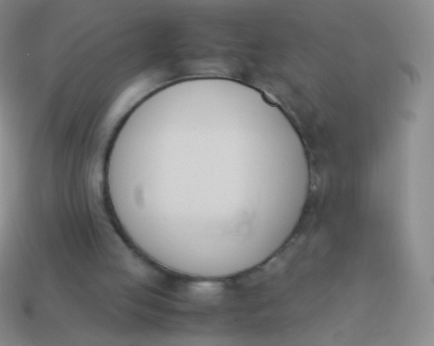 X0000114230053200910231512