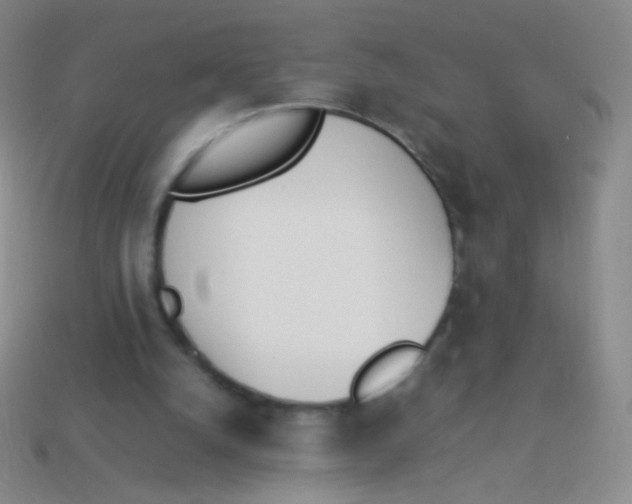 X0000114230056200910231512