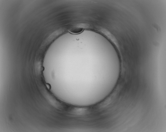 X0000114230057200910231512