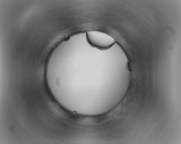 X0000114230058200910231512