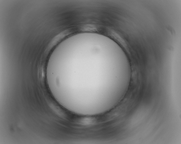X0000114230059200910231512