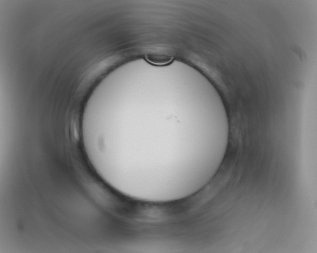 X0000114230062200910231512