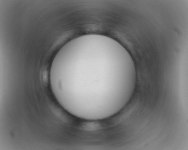X0000114230067200910231512