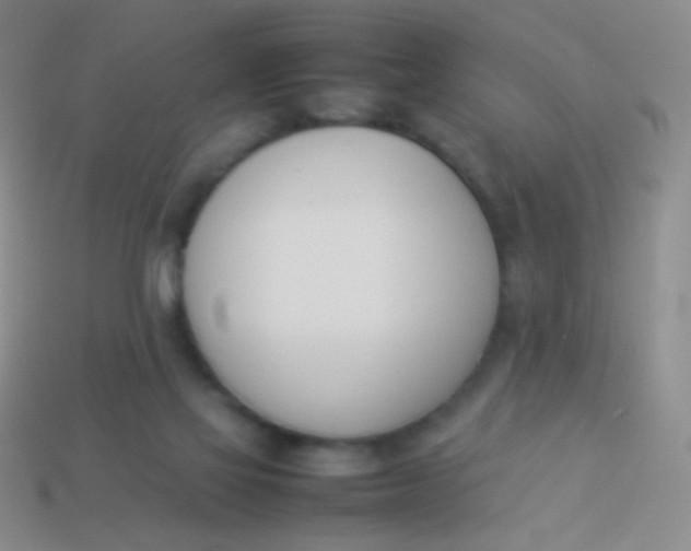 X0000114230069200910231512