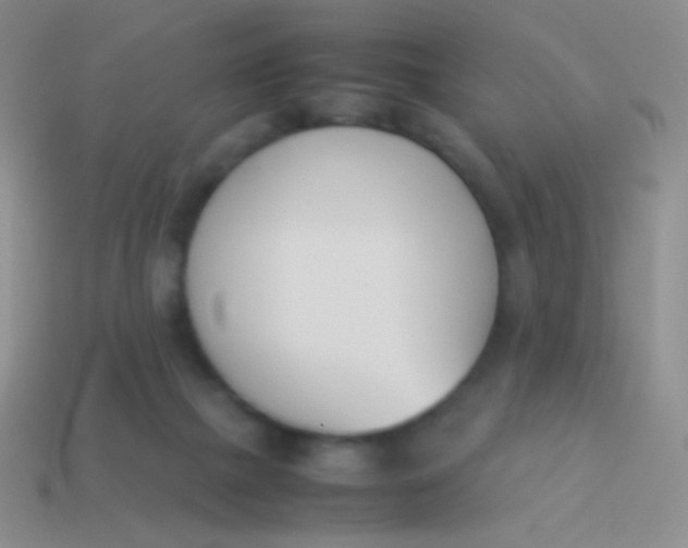 X0000114230073200910231512