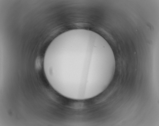 X0000114230075200910231512