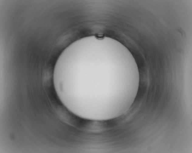 X0000114230082200910231512