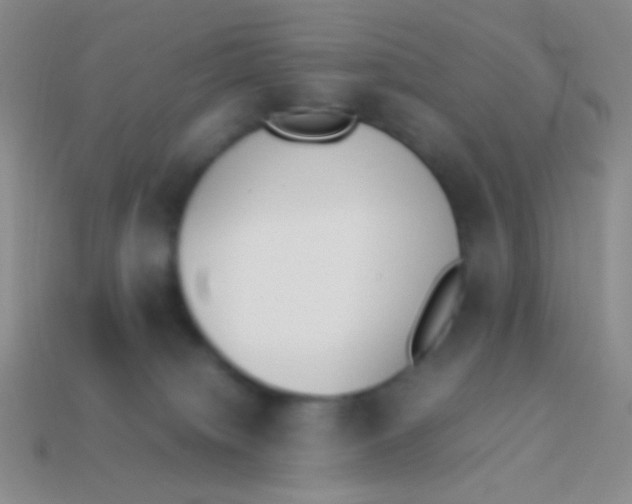 X0000114230084200910231512