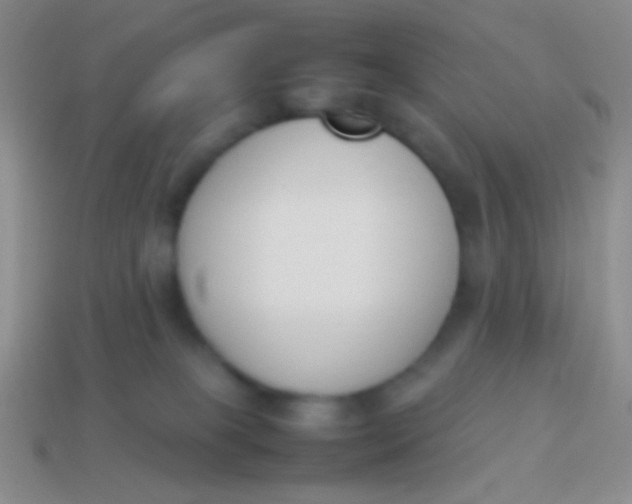 X0000114230085200910231512