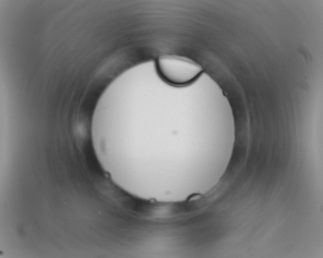 X0000114230090200910231512