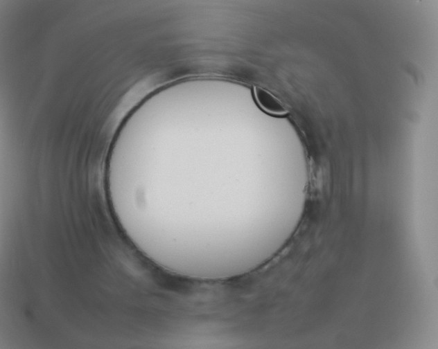 X0000114230099200910231512