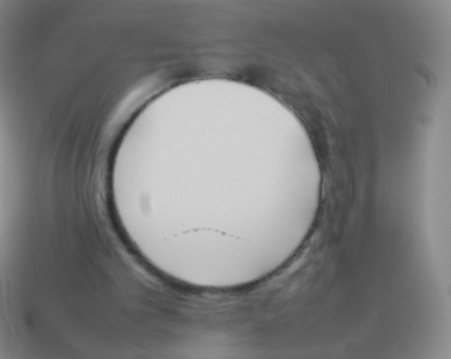 X0000114230101200910231512