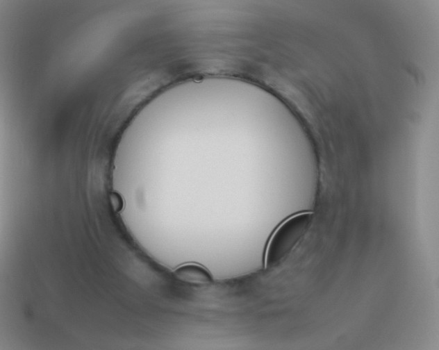 X0000114230105200910231512