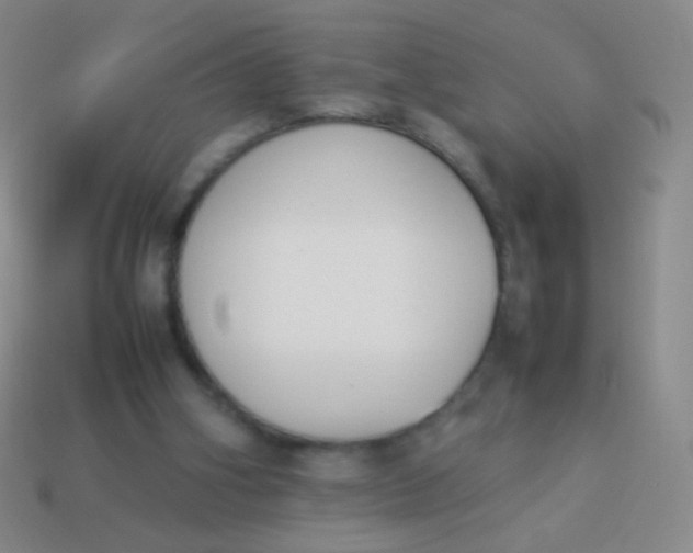X0000114230106200910231512
