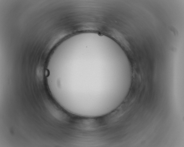 X0000114230108200910231512