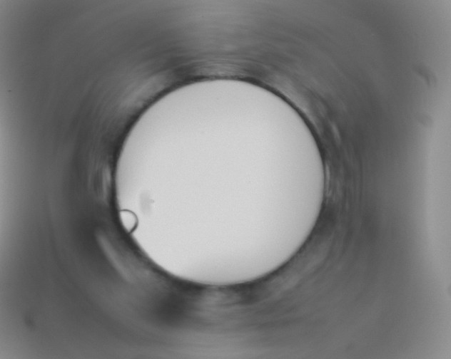 X0000114230109200910231512