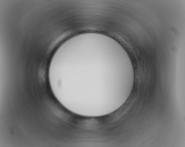 X0000114230112200910231512