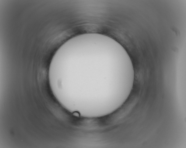 X0000114230117200910231511