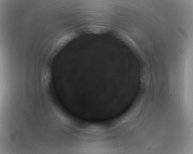 X0000114230119200910231511