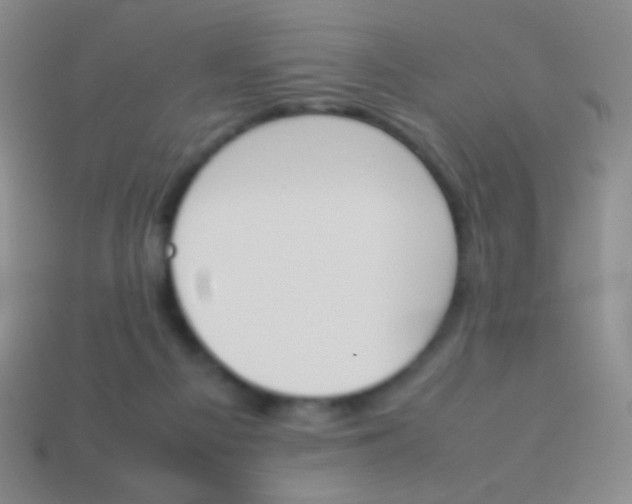 X0000114230121200910231511