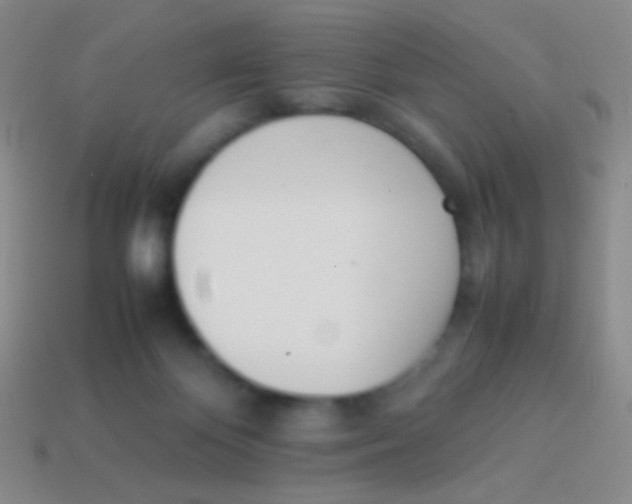 X0000114230124200910231511