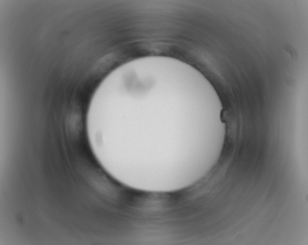 X0000114230128200910231511