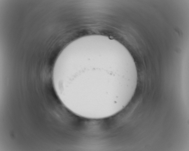 X0000114230129200910231511