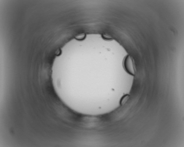 X0000114230133200910231511