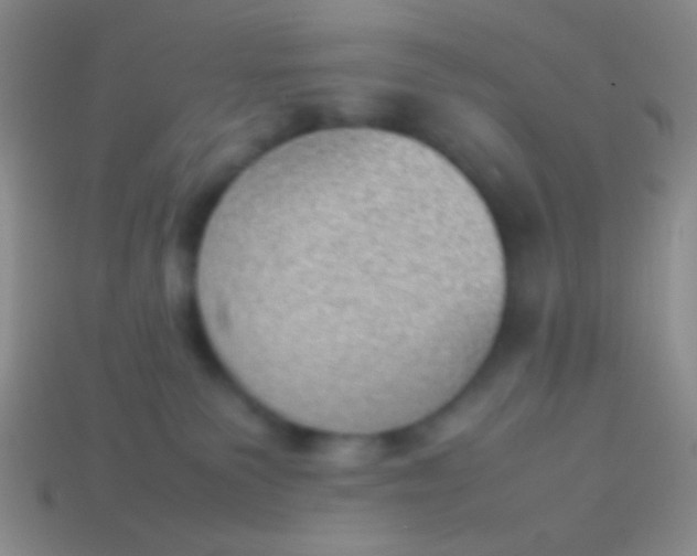 X0000114230135200910231511
