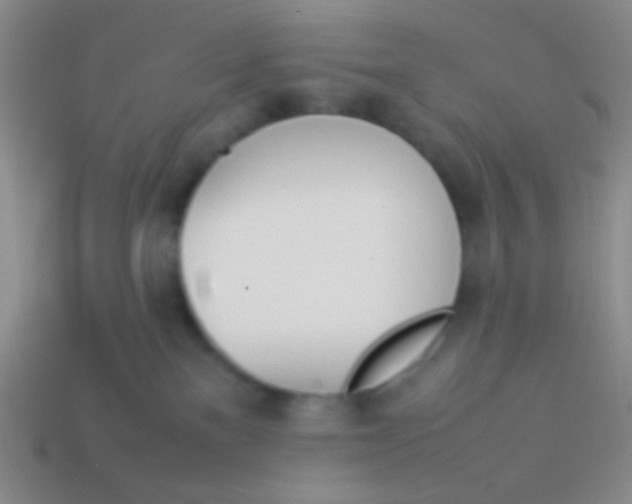 X0000114230137200910231511