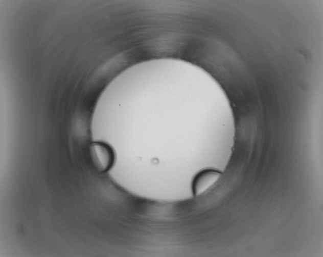 X0000114230138200910231511